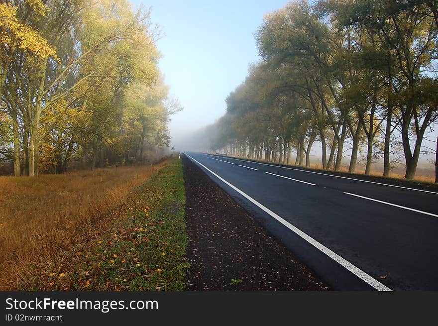 Stripes of road