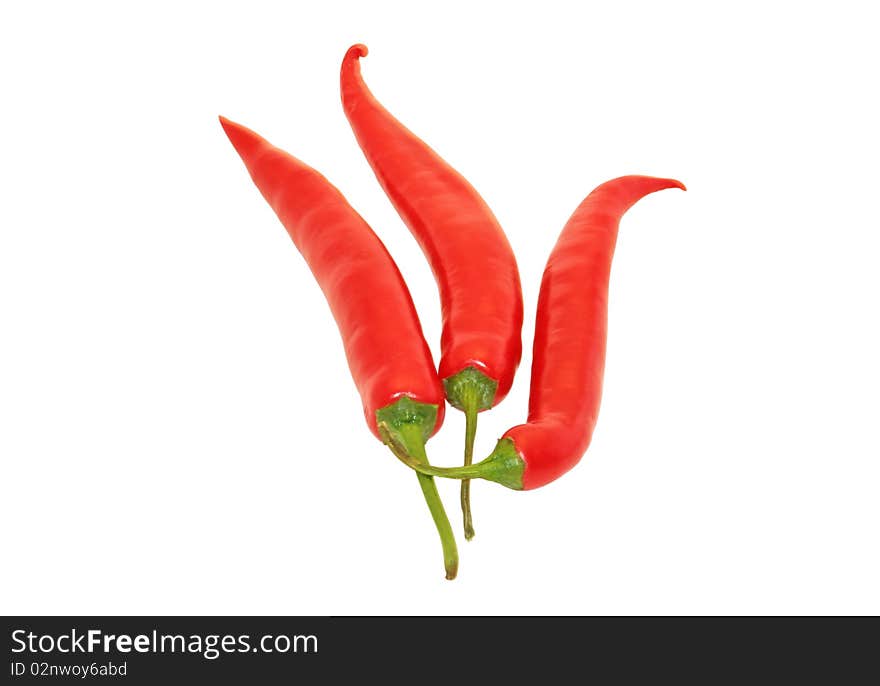 Three Red Chili Peppers