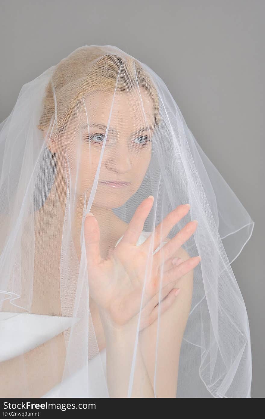 Young Beautiful Bride Covered In Veil