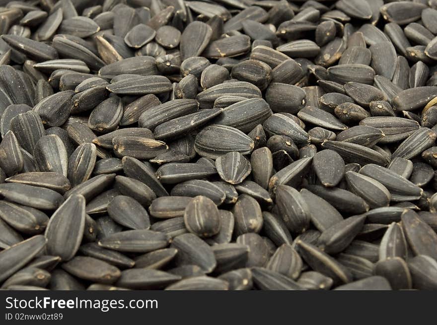 Sunflower Seeds