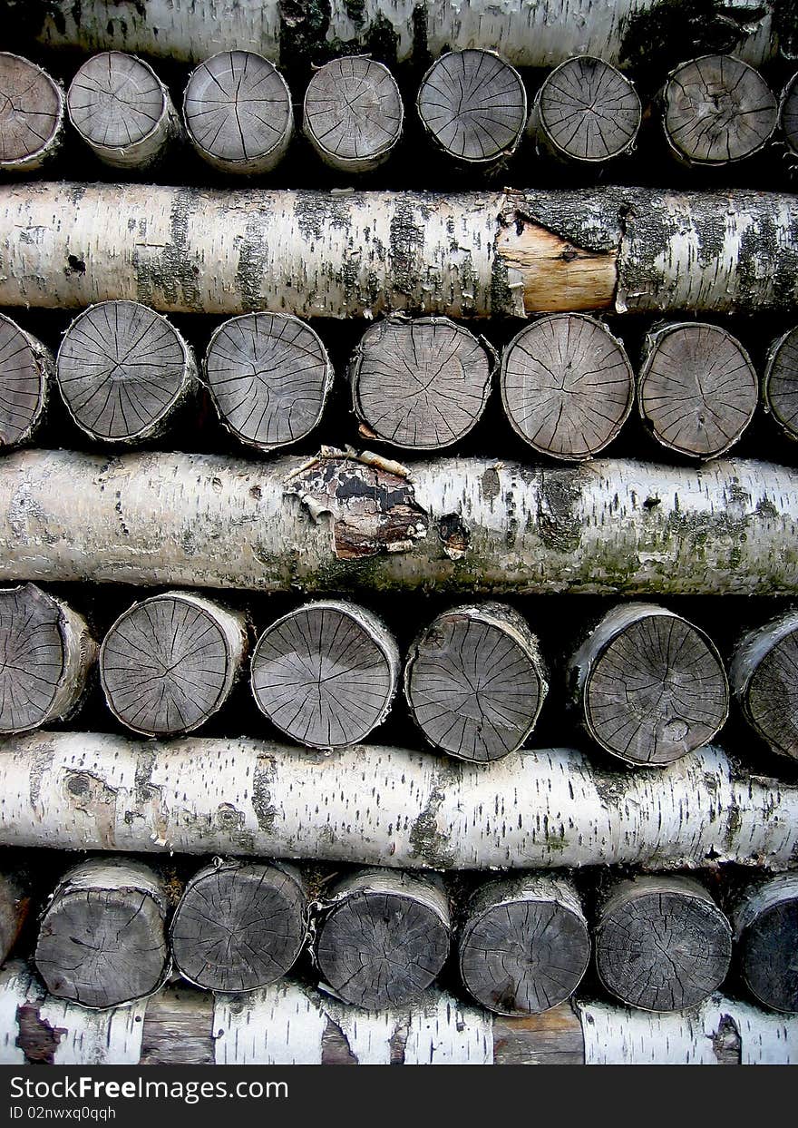 A Pile Of Birch Logs