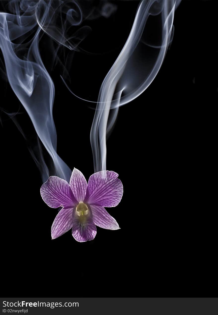 Smoking orchid