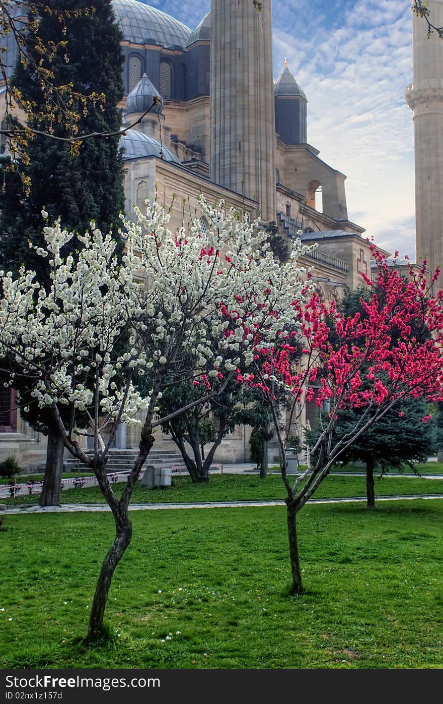 Selimiye Mosque in Edirne Turkey