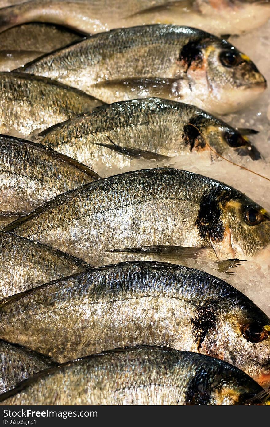 Fishes in a restaurant over ice