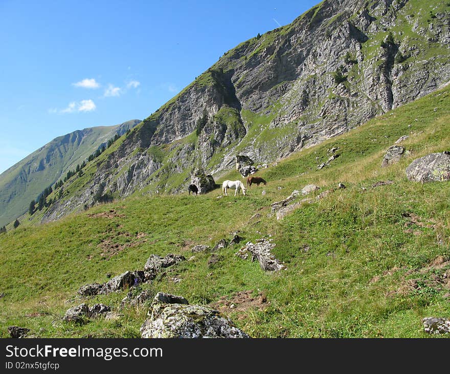 Site Of The Collar Of Neck, France