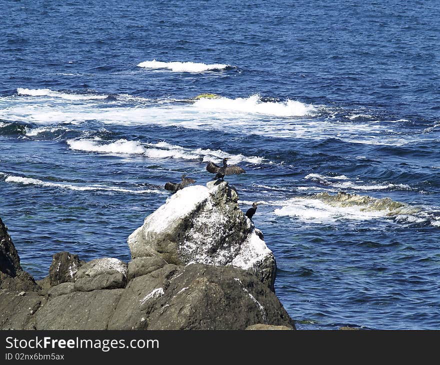 Rock in the sea