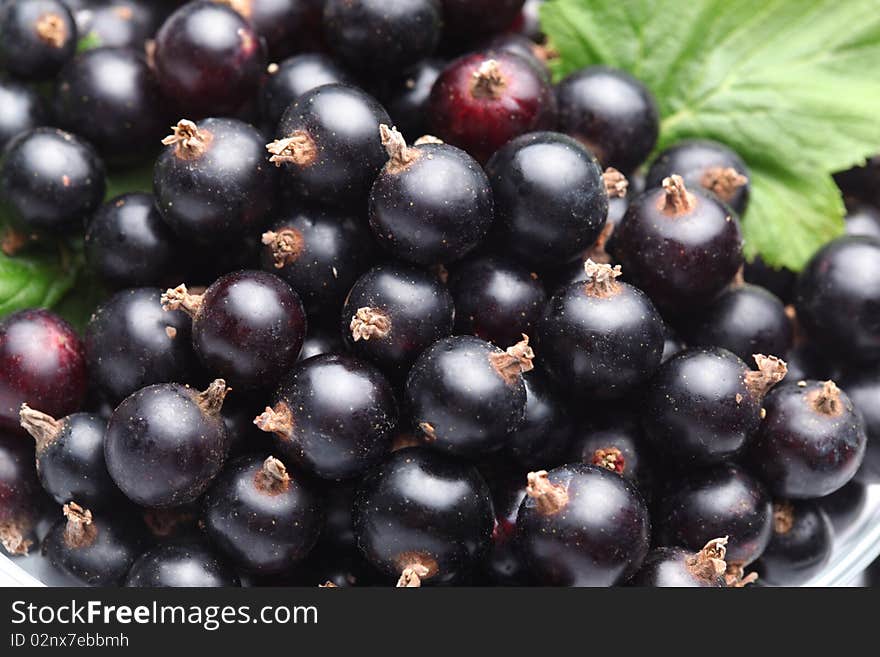 Crockery with black currant.  Close up shot of berries.