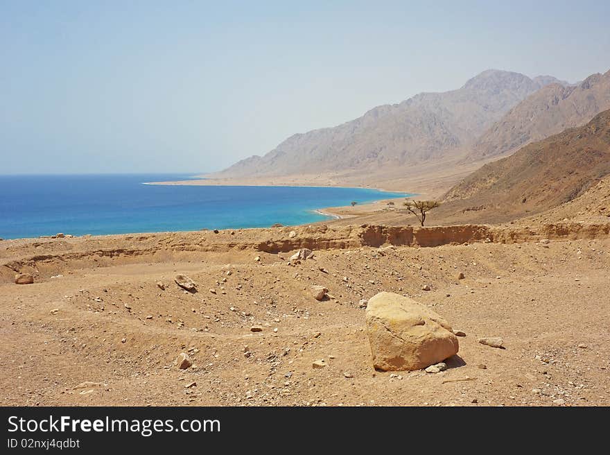 Coastal view from a desert