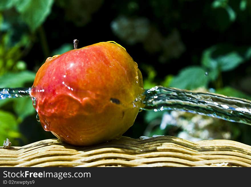 Apple With Water