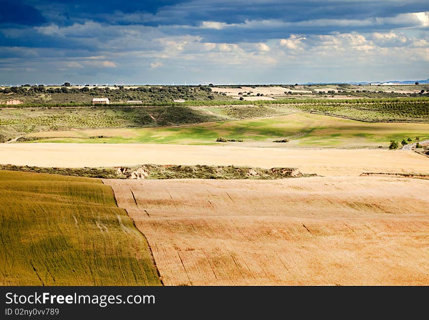 Rural landscape with crop fields