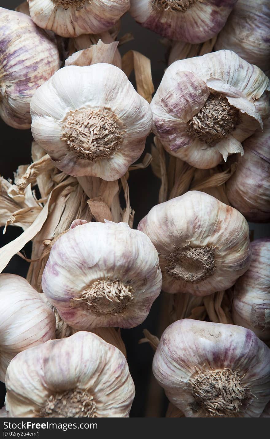 Close up image of several garlic