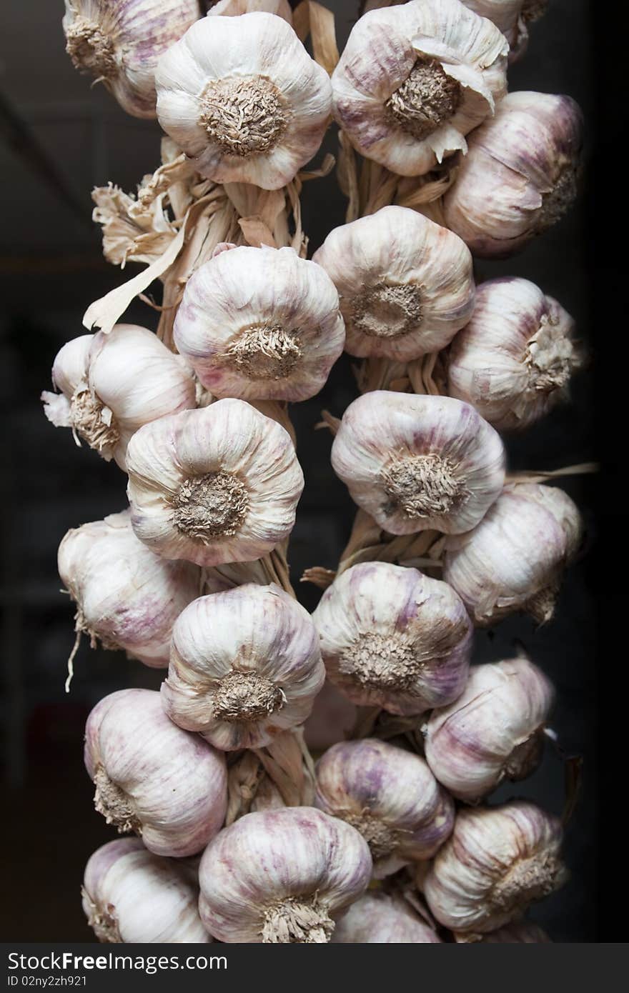 Close up image of several garlic