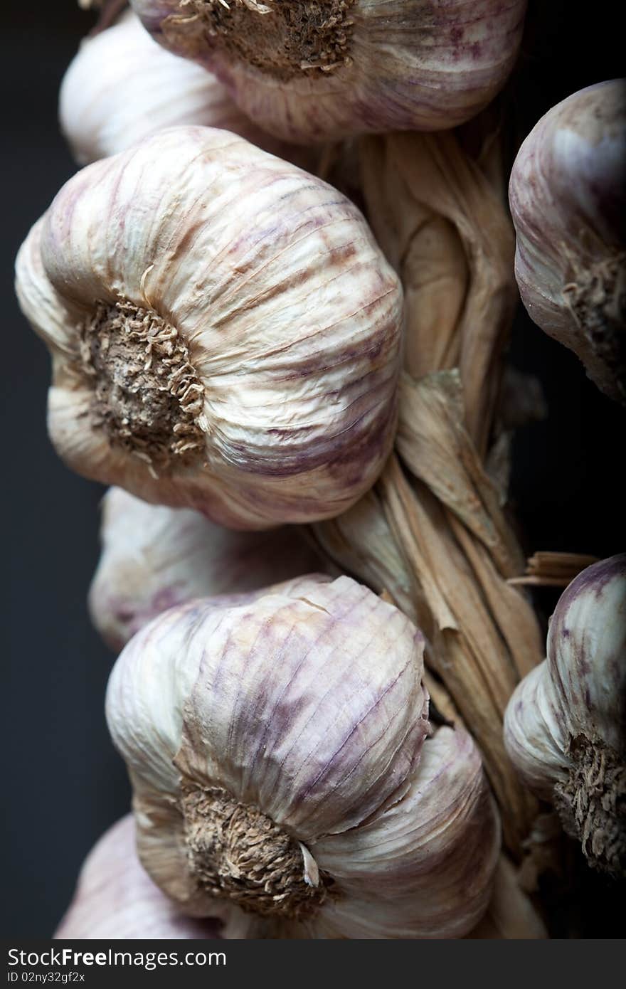 Close up image of several garlic