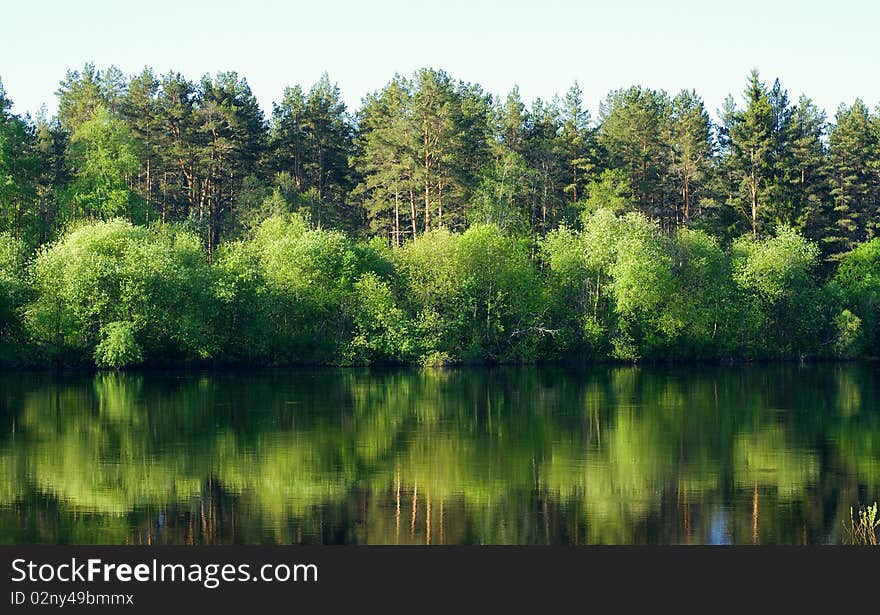 Tree`s of the water. Landscape with river. Tree`s of the water. Landscape with river.