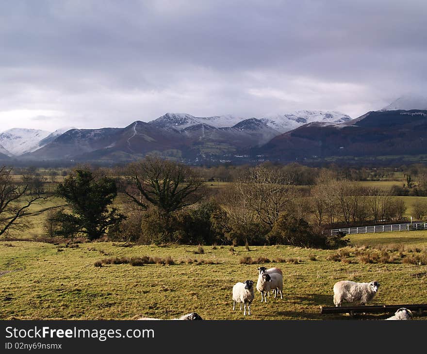 Scene towards mountains in keswick