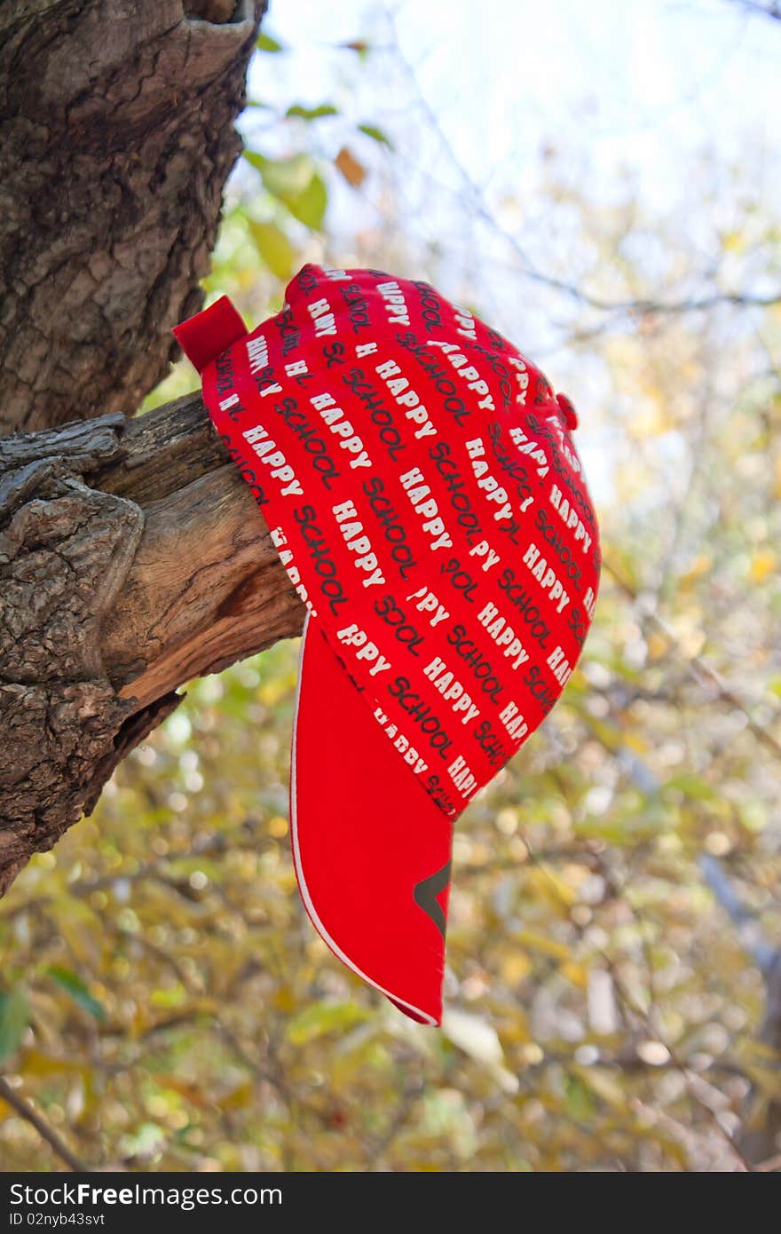 Child cap hanging on the tree