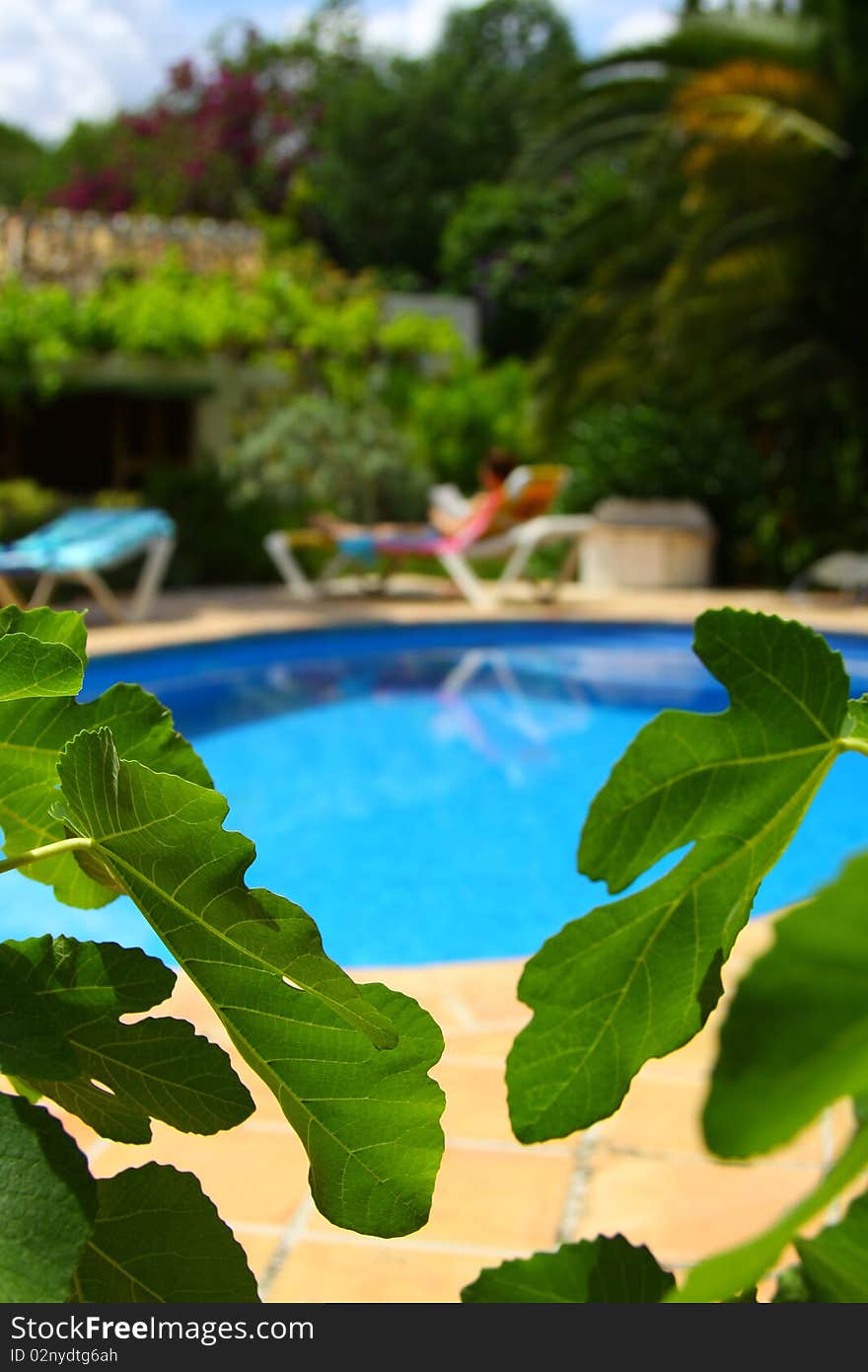 A woman reading and relaxing on a sun lounger by a pool in a tropical location with leaves in the foreground. A woman reading and relaxing on a sun lounger by a pool in a tropical location with leaves in the foreground