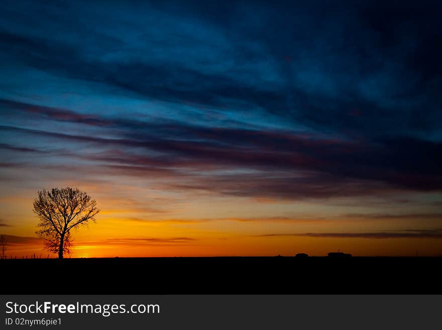 A lone tree viewing a rural sunset. A lone tree viewing a rural sunset.