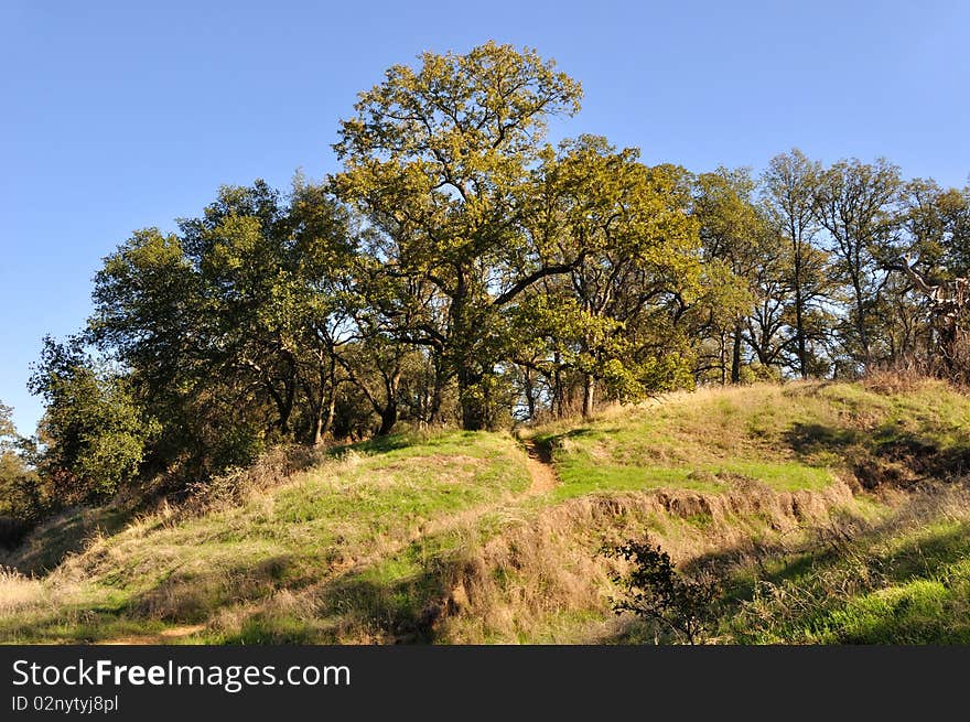 Northern California Wildlife Refuge