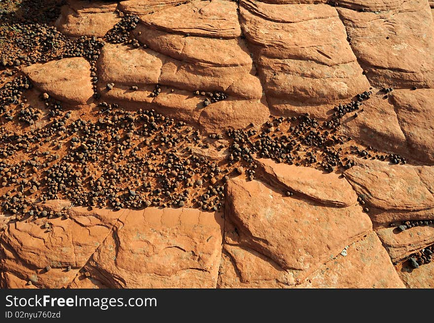 Sandstone Rock and Pebble Background in southern Utah