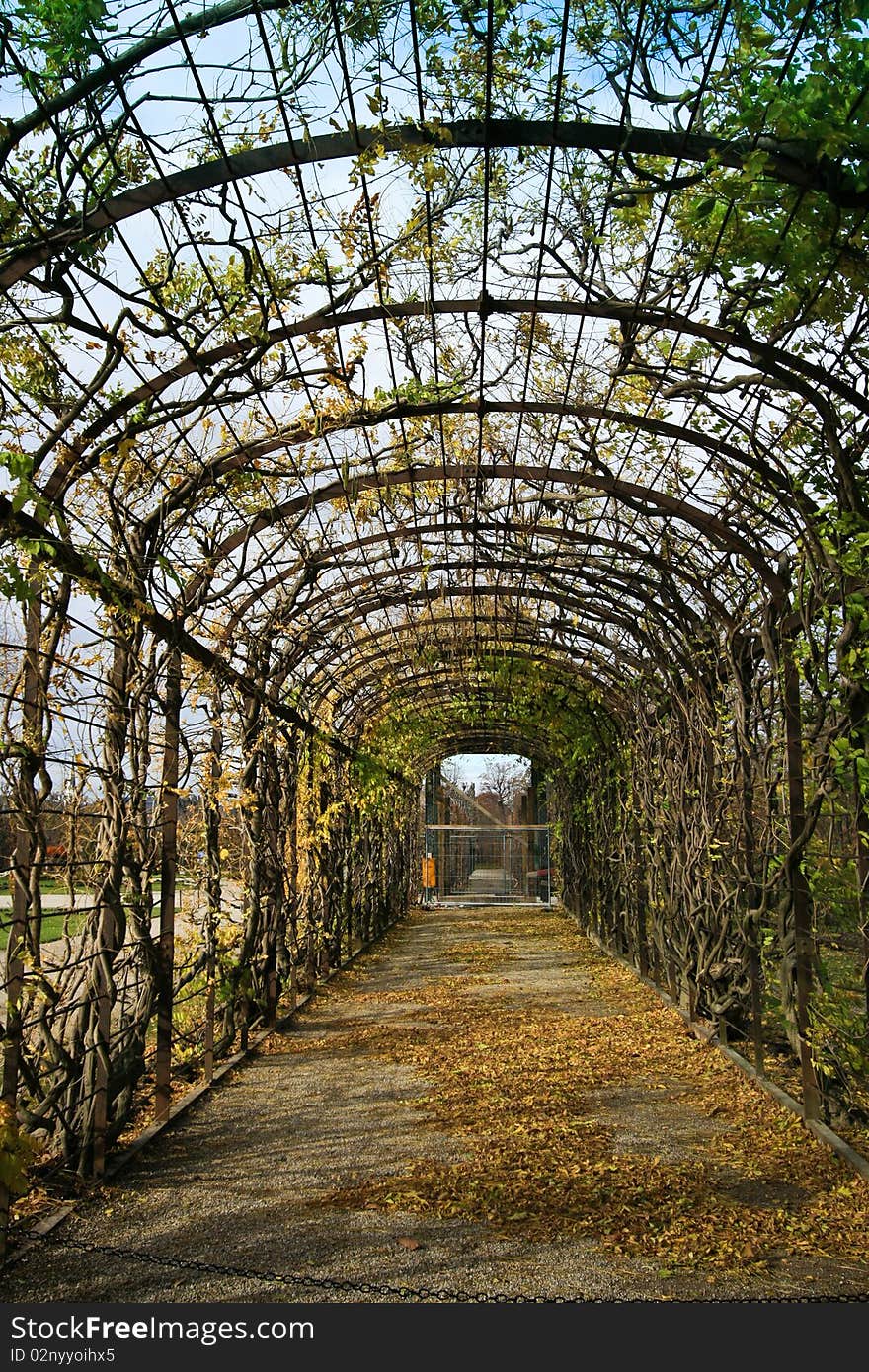 Walkway in the garden covered with arc of tree trunk and leaf. Walkway in the garden covered with arc of tree trunk and leaf