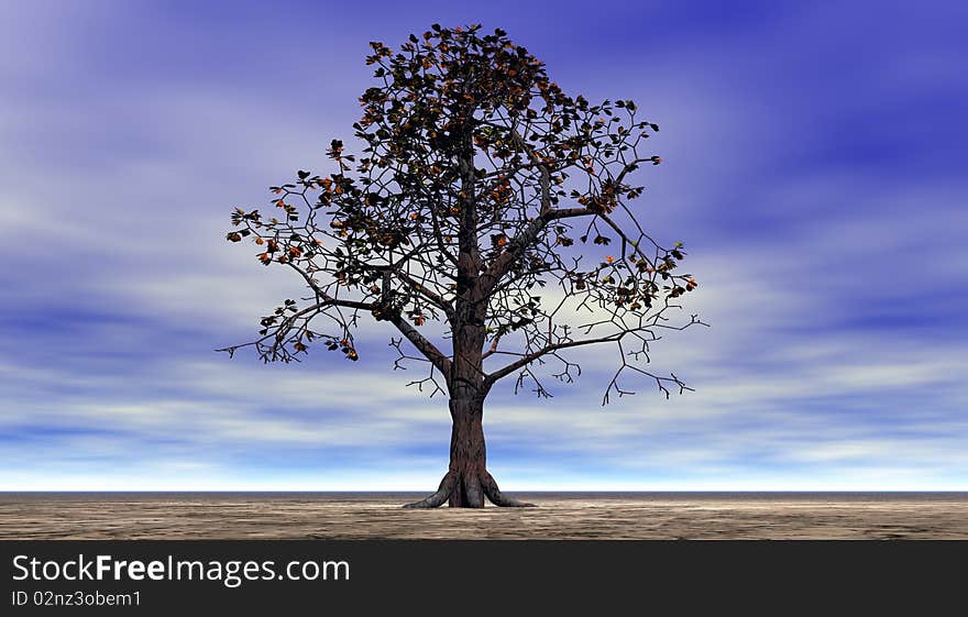 Tree and sky blue and white