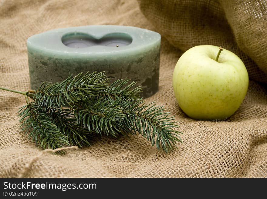 Fir branches with apple