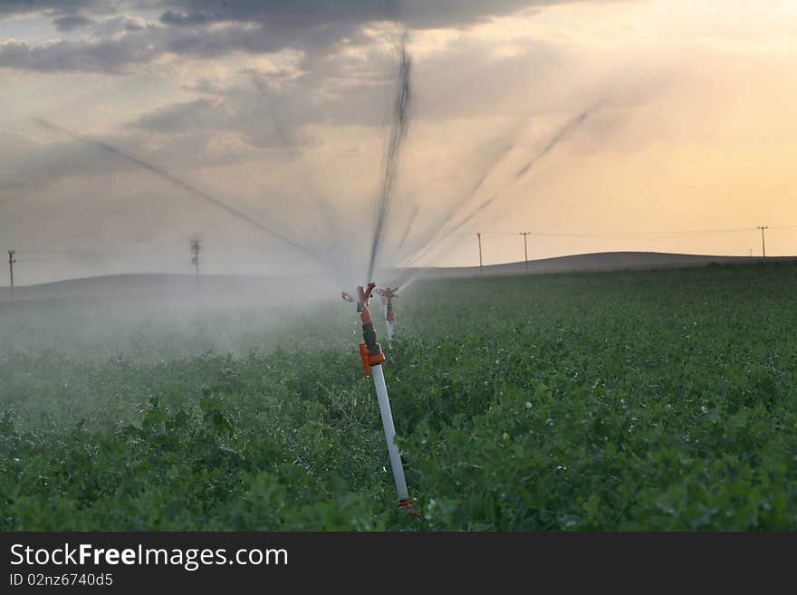 Irrigation Sprinklers