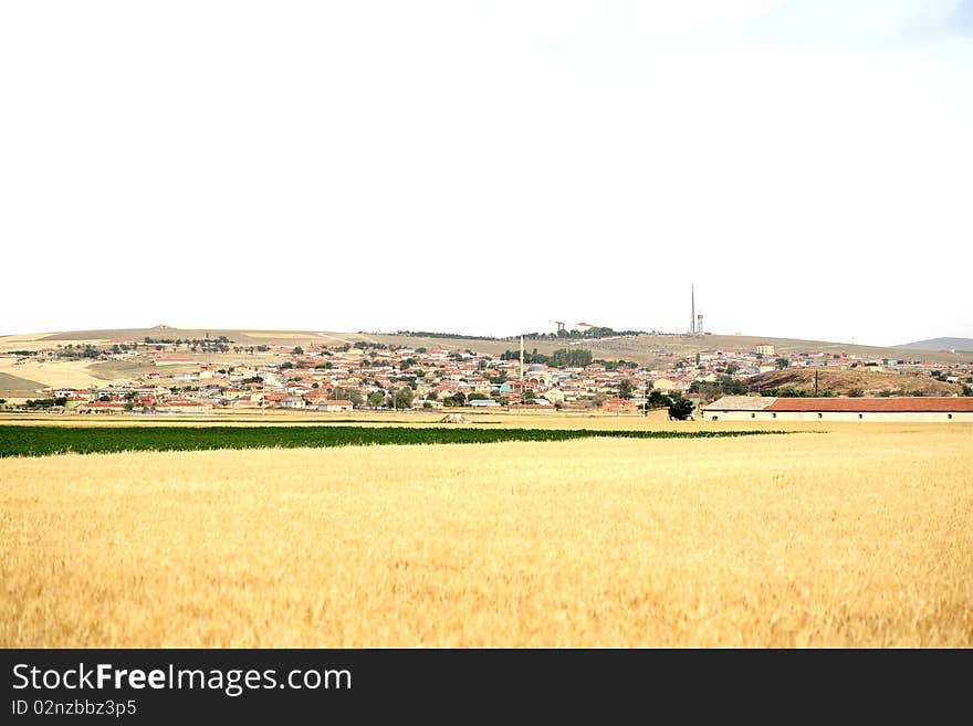 Sunset over field with green grass background