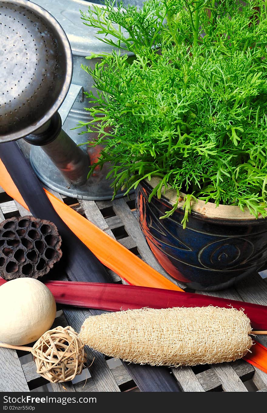 Plants, pottery and dry flowers on an old garden table. Plants, pottery and dry flowers on an old garden table