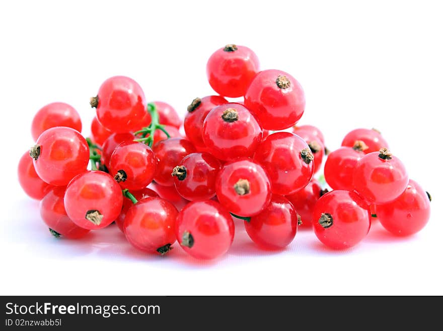 Red berries of the red currant on white background