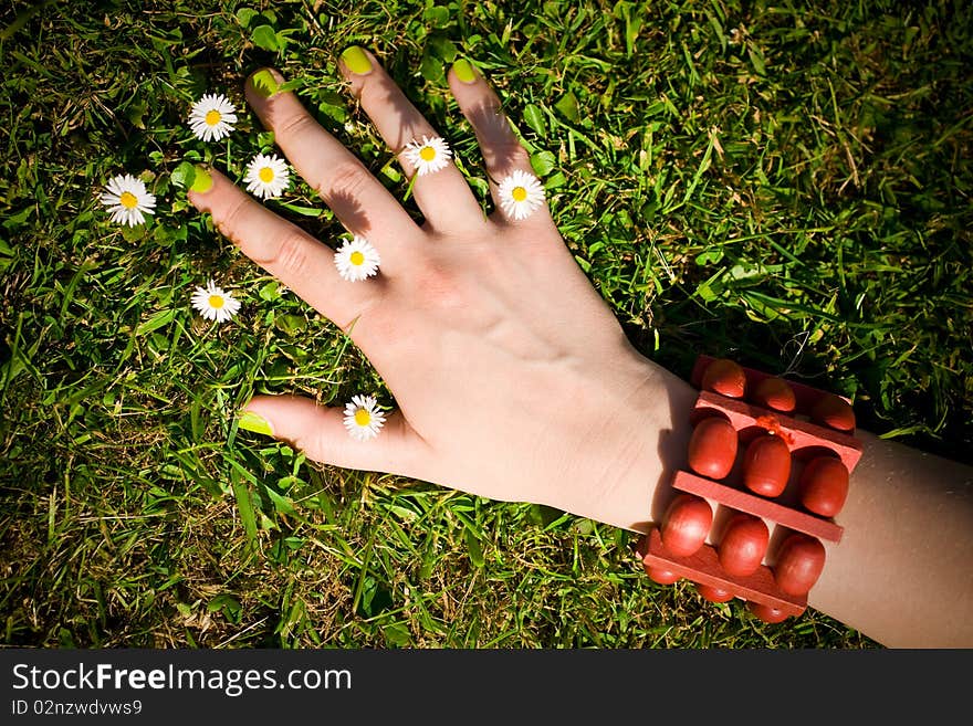 Young female hand on the ground holds small daisy flowers,. Young female hand on the ground holds small daisy flowers,