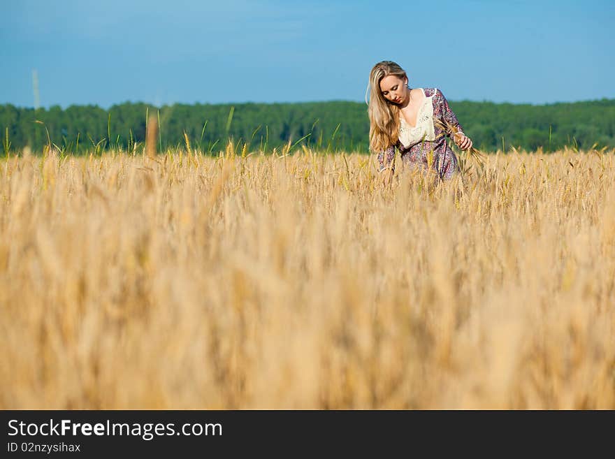 Beauty girl in the wheat field