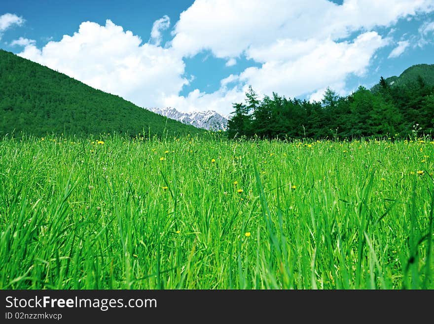 Green grass, mountains and forest below clouds.