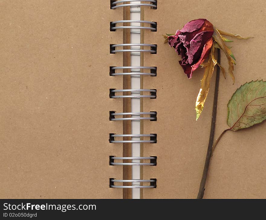 Dead red rose on the old style brown page notebook. Dead red rose on the old style brown page notebook