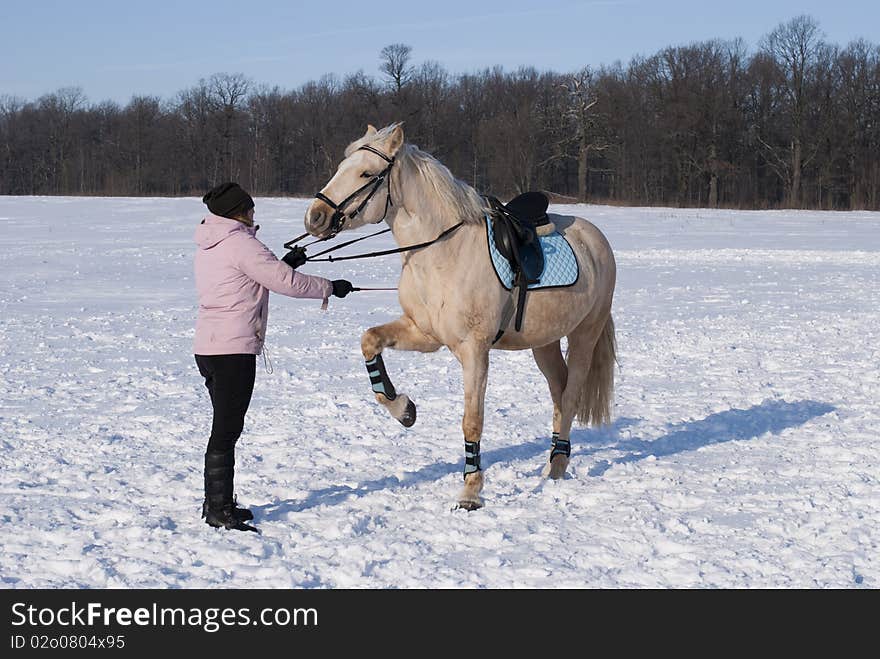 Young girl training her horse in winter. Young girl training her horse in winter