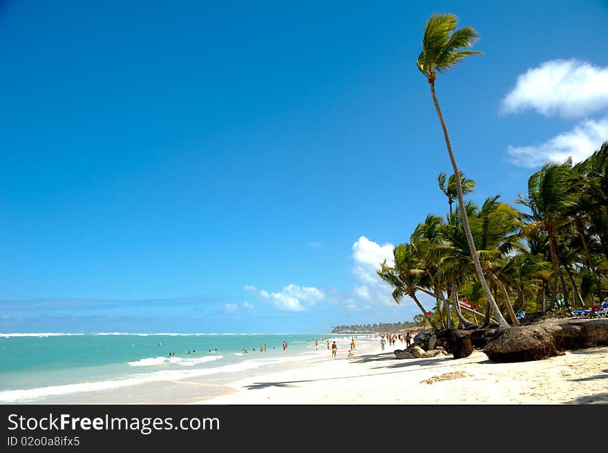 Palm hanging over exotic caribbean beach with the coast in the background.