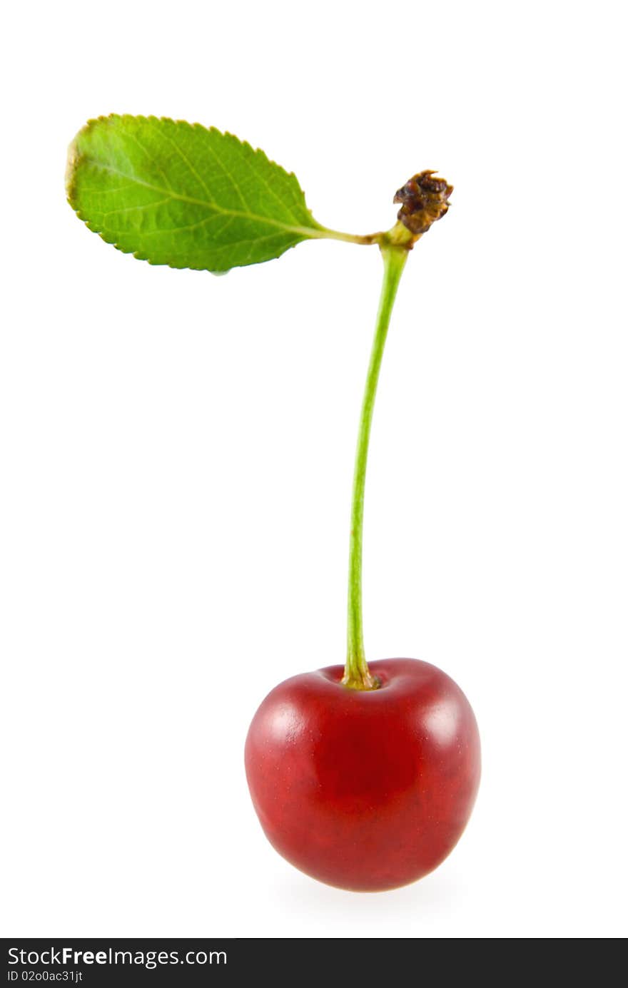 Cherry with green leaf on white background. Cherry with green leaf on white background