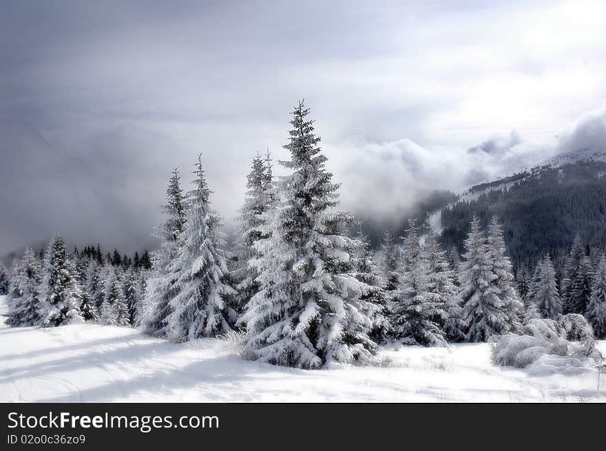 Winter scenery in the mountains with the arrival of the fog