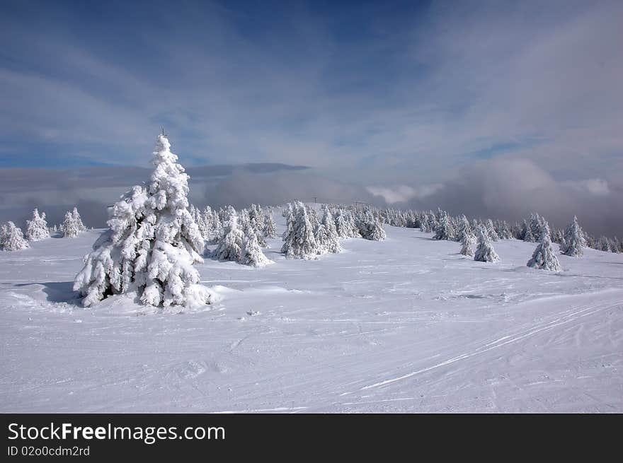 Winter scenery in the mountains with the arrival of the fog