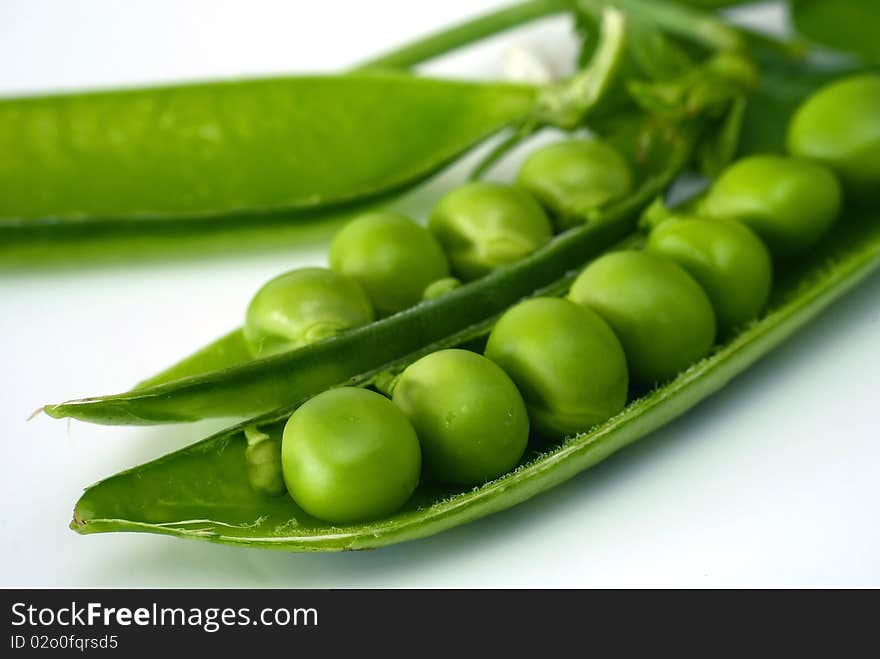 Picked pea on the white background. Picked pea on the white background