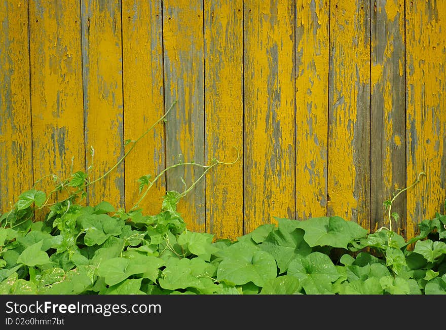 Old yellow wood plank surface