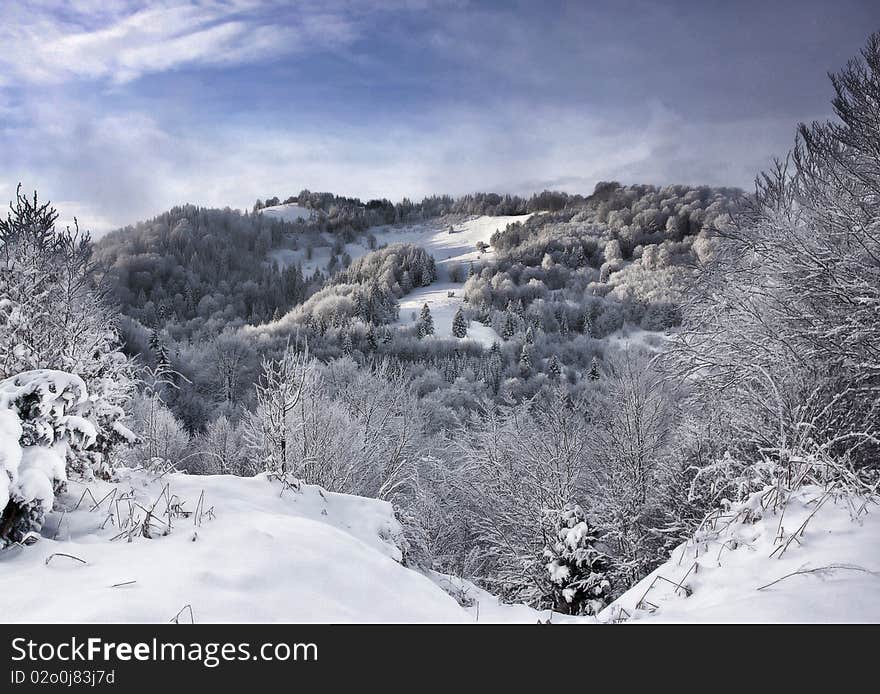 Winter landscape under the snow