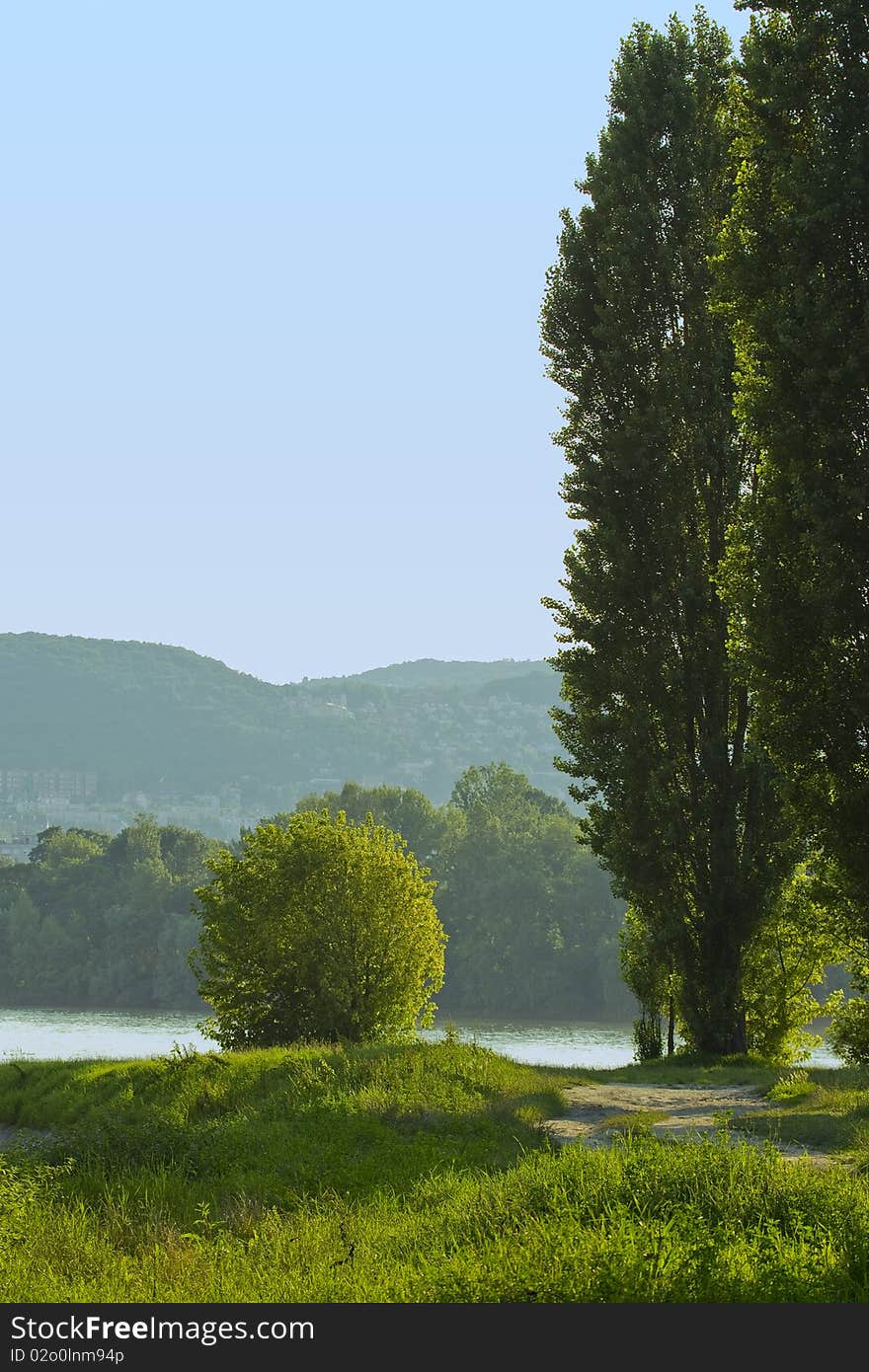 Trees in the bank of river Danube