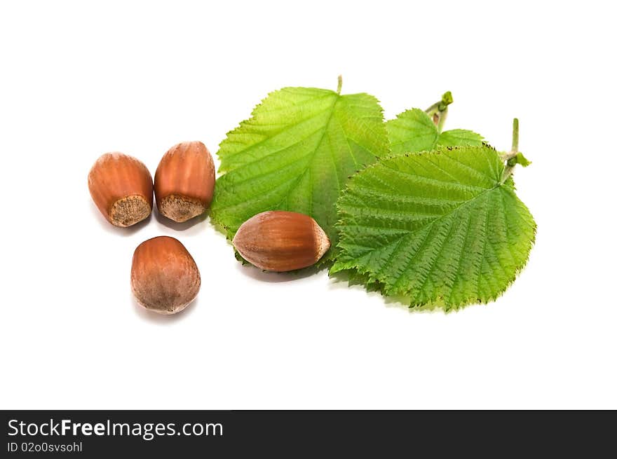 Haselnuts and leaves isolated on white. Haselnuts and leaves isolated on white