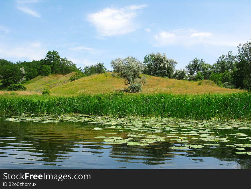 The image of the meadow near the river