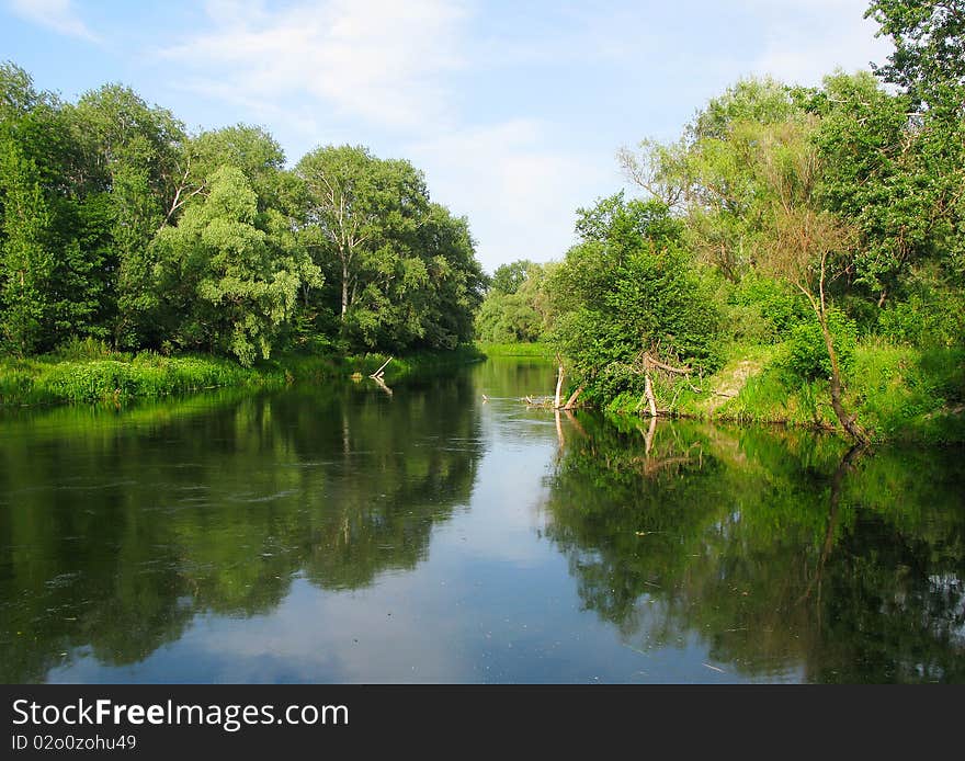 River and forest