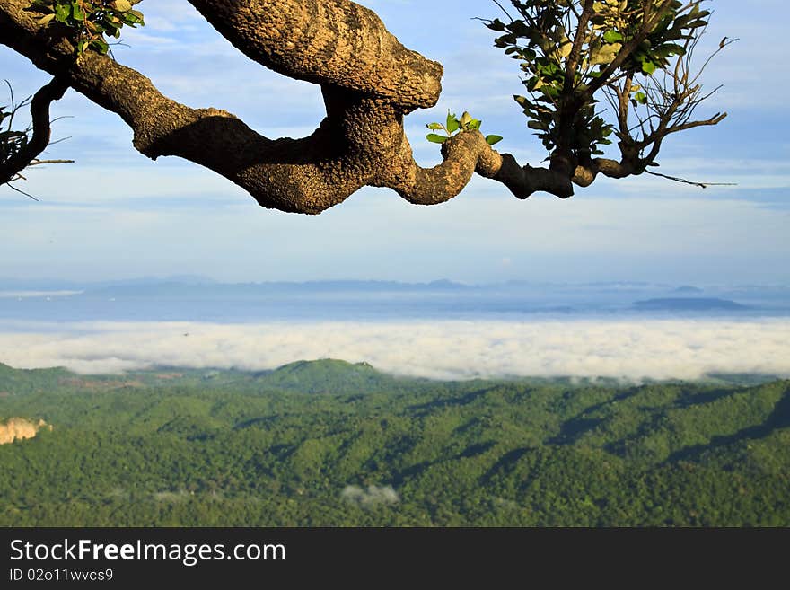 Beautiful Clouds And Fog