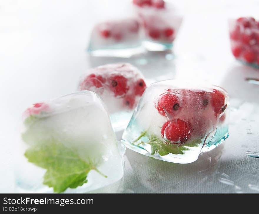 Ice beauty red gooseberry,little red balls,fruit. Ice beauty red gooseberry,little red balls,fruit