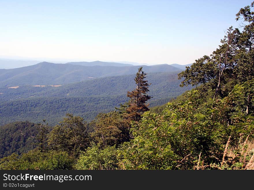 Shenandoah Valley during summer with views of blue ridge mountains